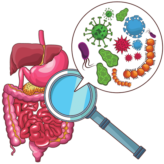 a closer look into bacterial overgrowth