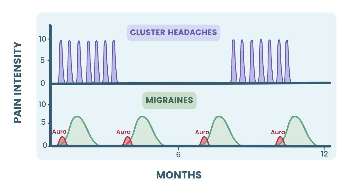 cluster headache vs migraine frequency