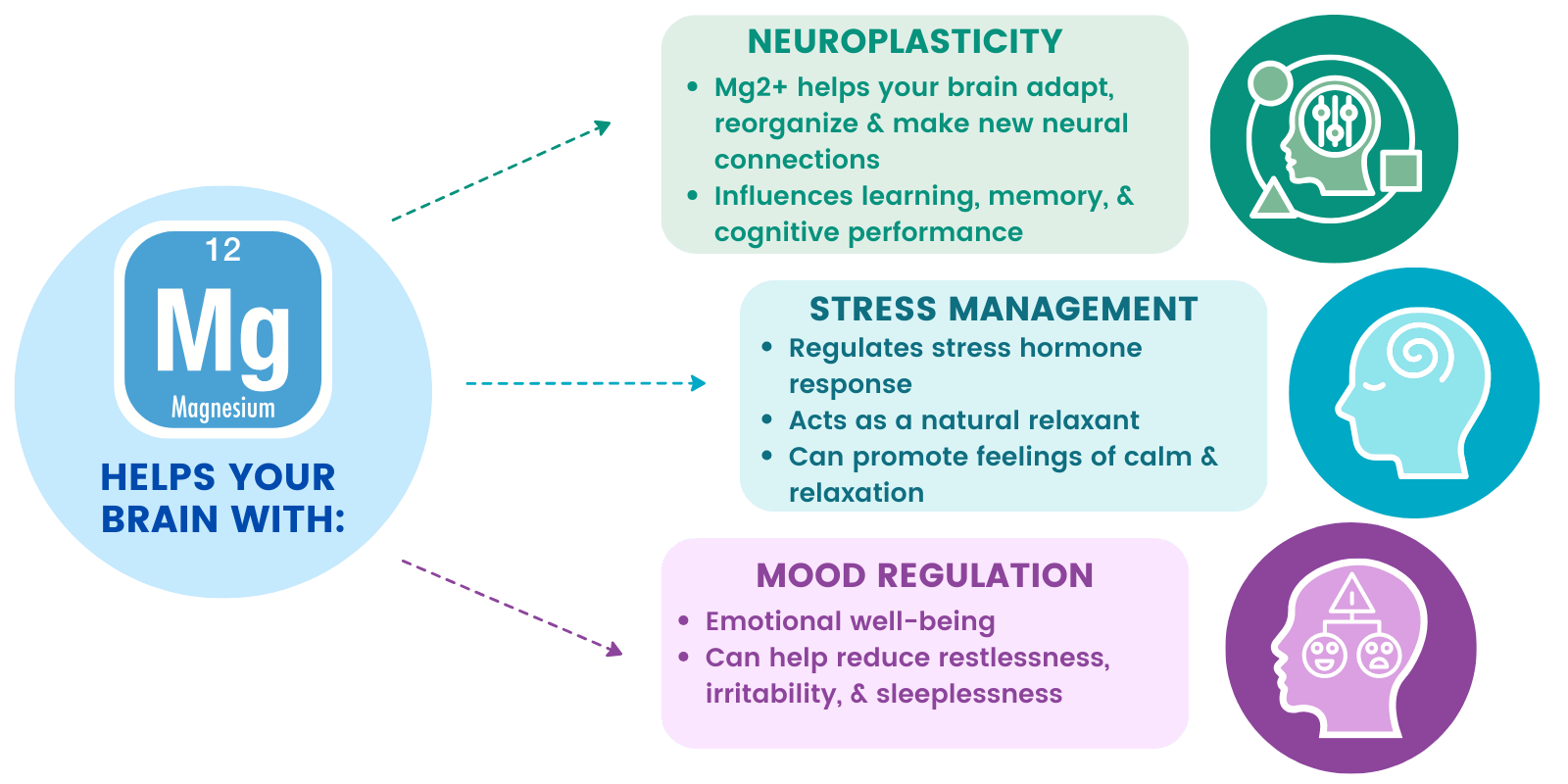 cognitive roles of magnesium