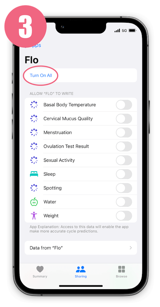 Apple Health's Flo connecting screen