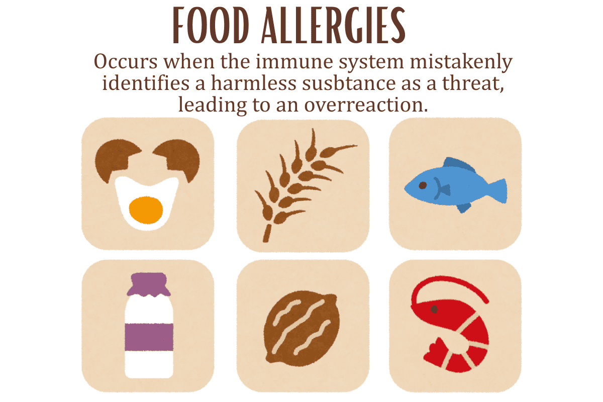 Image showing some common food allergies