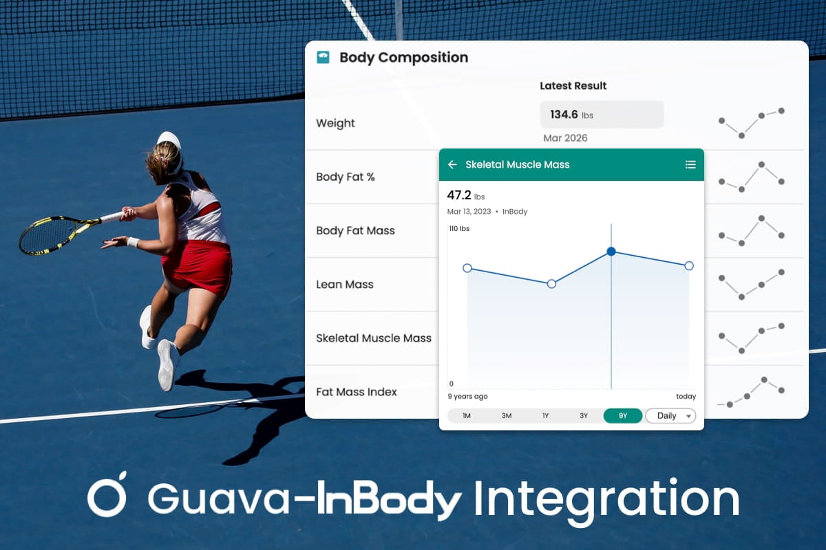 Body composition results from an InBody scan displayed in Guava for body composition tracking