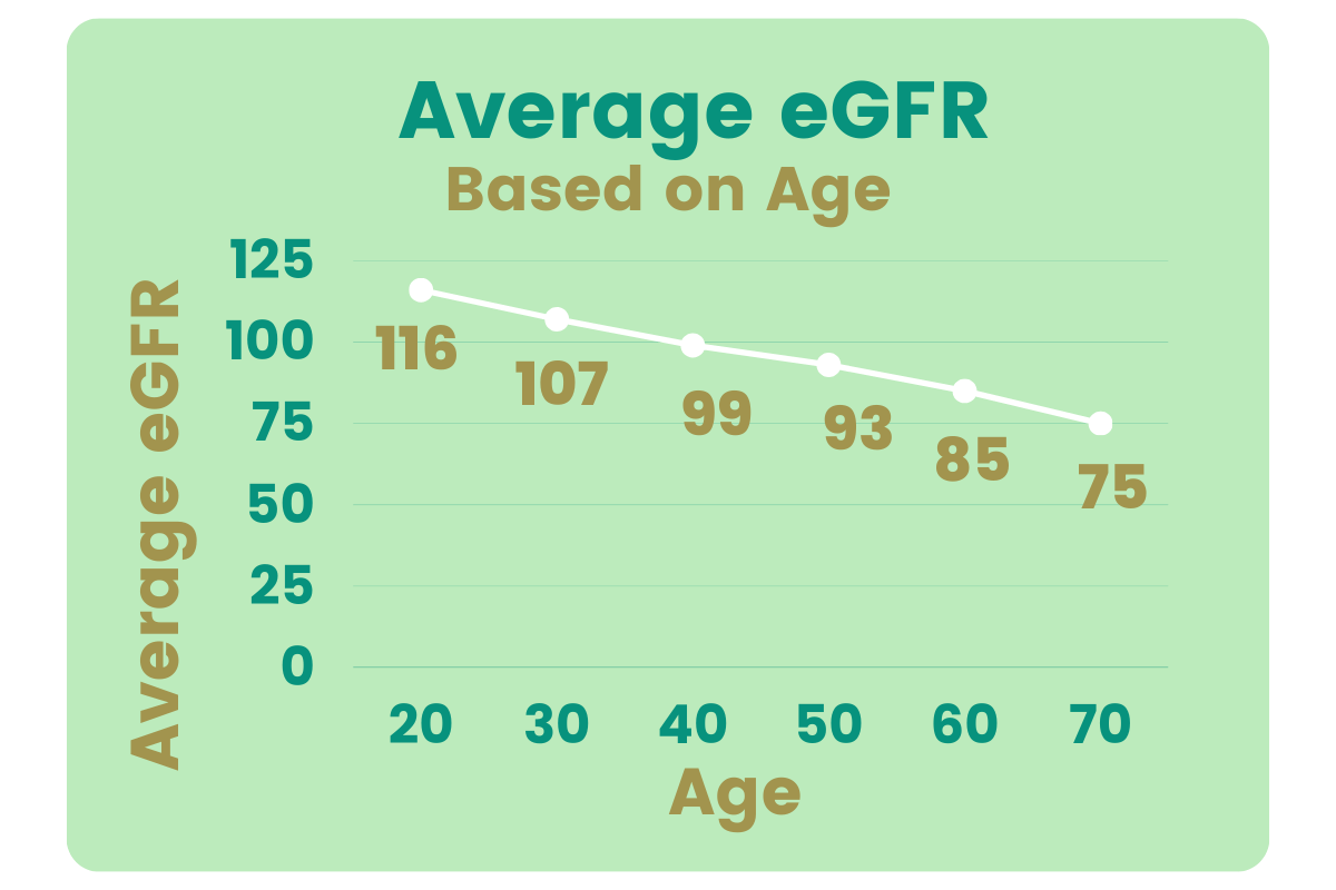 Normal Range of eGFR