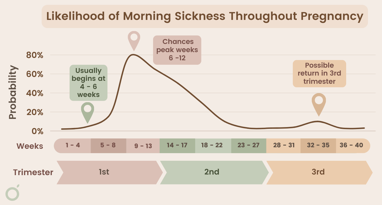 Onset Of Nausea In Pregnancy Why People Who Experience Severe Nausea