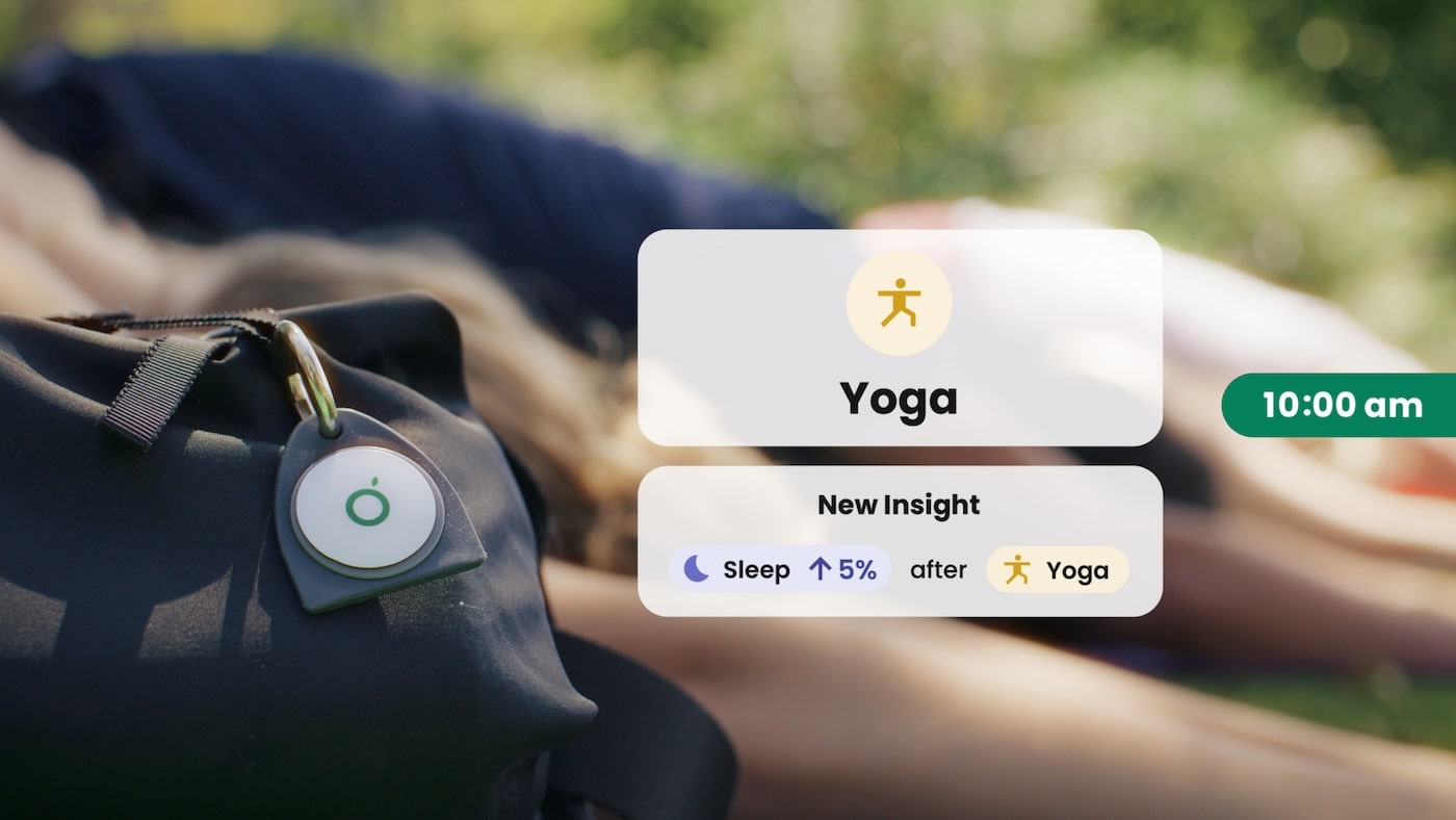 Guava insights  highlighting symptom and lifestyle correlations over time