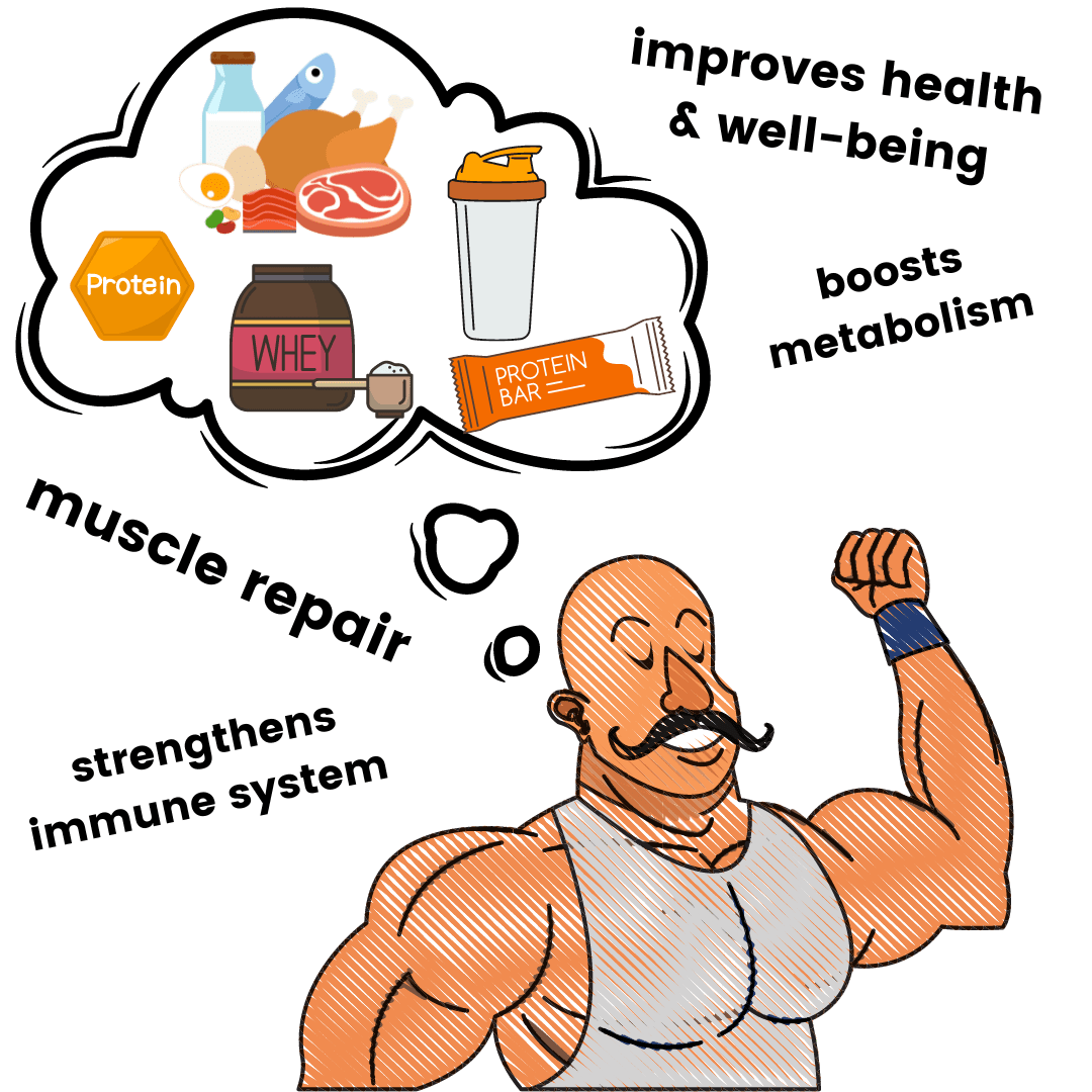 benefits of protein