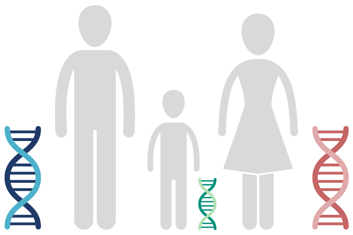 Eczema Genetic Predisposition, Filaggrin Mutation